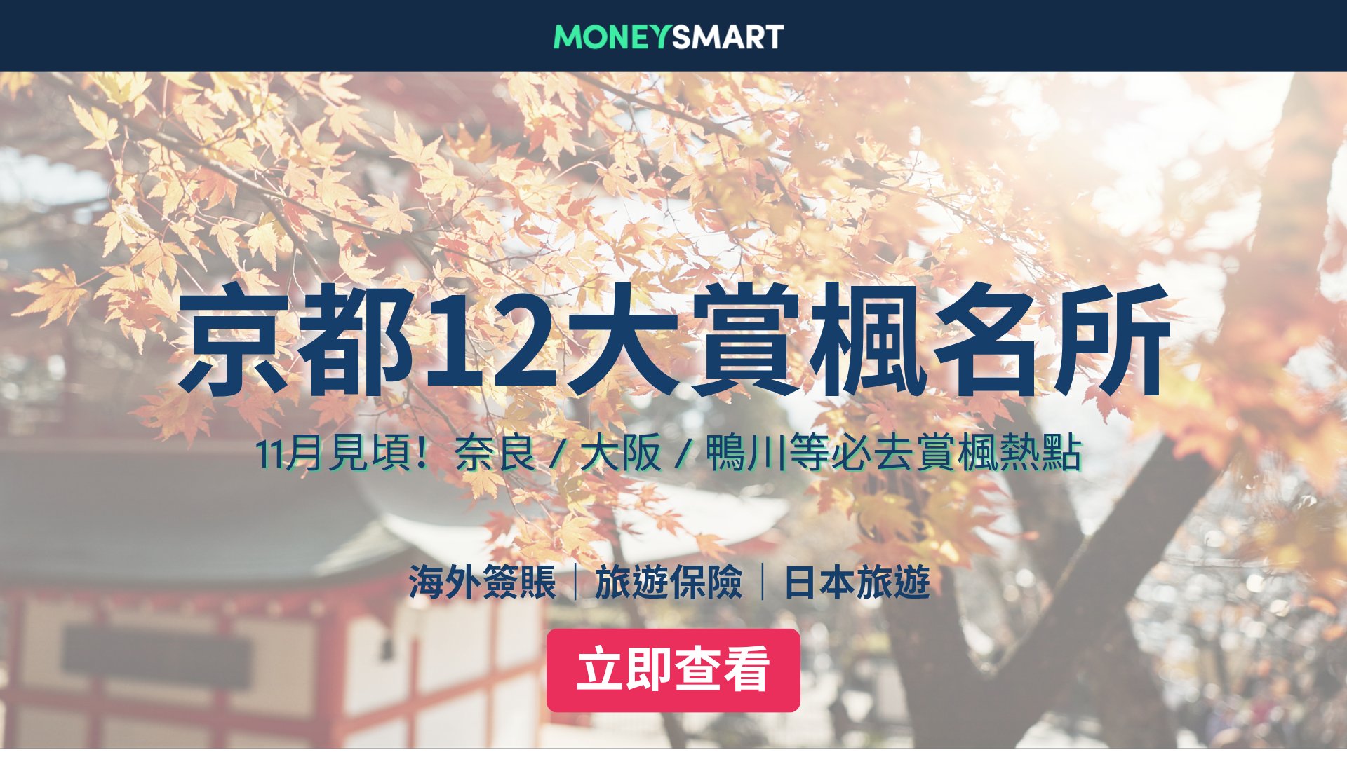 京都紅葉2026|奈良 / 大阪 / 鴨川等最快11月見頃!12大賞楓推薦