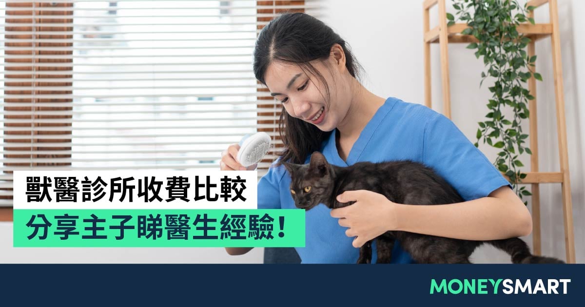 香港獸醫診所收費2026|貓狗身體檢查要幾錢?分享主子真實經驗!